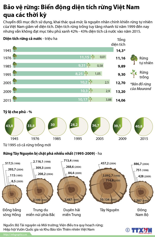 Diện tích rừng Việt Nam biến động qua các thời kỳ
