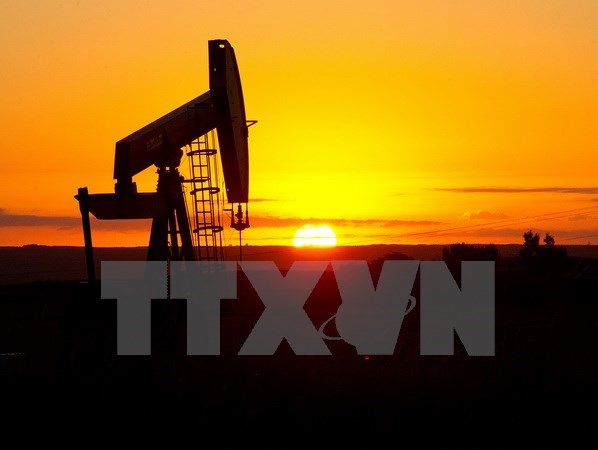 Giếng dầu tại Tioga, Bắc Dakota, Mỹ. (Nguồn: AFP/TTXVN)