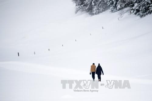 Tuyết phủ trắng xóa ở Werfenweng, Áo ngày 7/1. Ảnh: EPA/ TTXVN