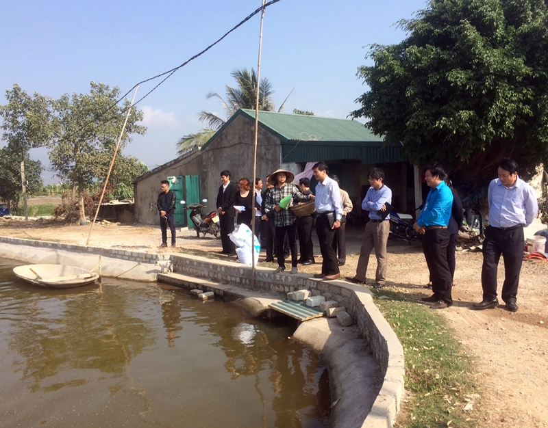 Đoàn công tác khảo sát thực tế các hộ nuôi trồng thủy sản tại xã Hoàng Quế, TX Đông Triều