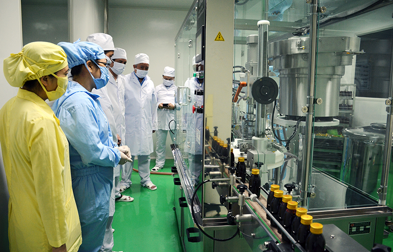 Dây chuyền sản xuất hiện đại của Nhà máy sản xuất thuốc từ dược liệu của Công ty CP Dược - Vật tư y tế Quảng Ninh. Trong ảnh: Cán bộ kỹ thuật giám sát quy trình đóng chai thuốc.