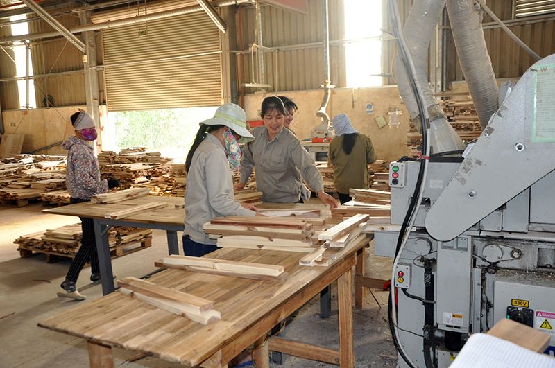 Sản xuất ván gỗ ghép thanh tại Nhà máy chế biến gỗ Tân Bình (Công ty TNHH Thanh Lâm), xã Tân Bình.