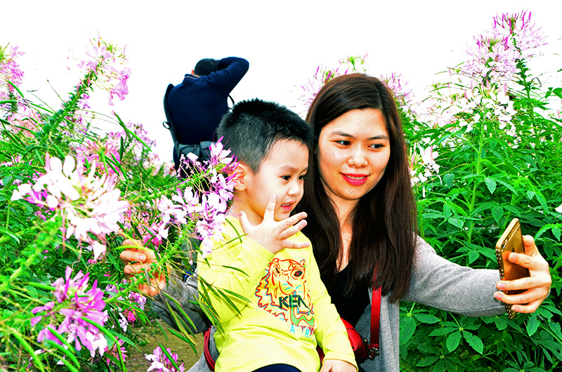 Mẹ và bé cùng chụp ảnh lưu niệm giữa thung lũng hoa.
