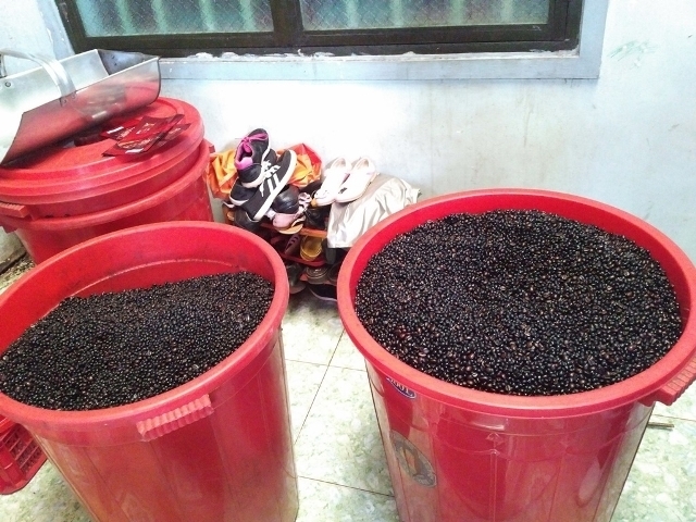 129 kg cà-phê được pha trộn với công thức 1 cà-phê + 9 đậu nành, phụ gia, hóa chất tại cở sở chế biến, sản xuất cà-phê bột Ngọc Thành.
