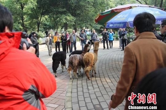 Khách du lịch tham quan Vườn bách thú Liễu Châu.