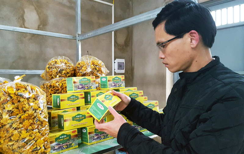 Các sản phẩm trà hoa vàng đảm bảo các tiêu chí “cứng” về nơi sản xuất, hạn sử dụng, bao bì hấp dẫn..., tạo sự tin tưởng với người tiêu dùng.