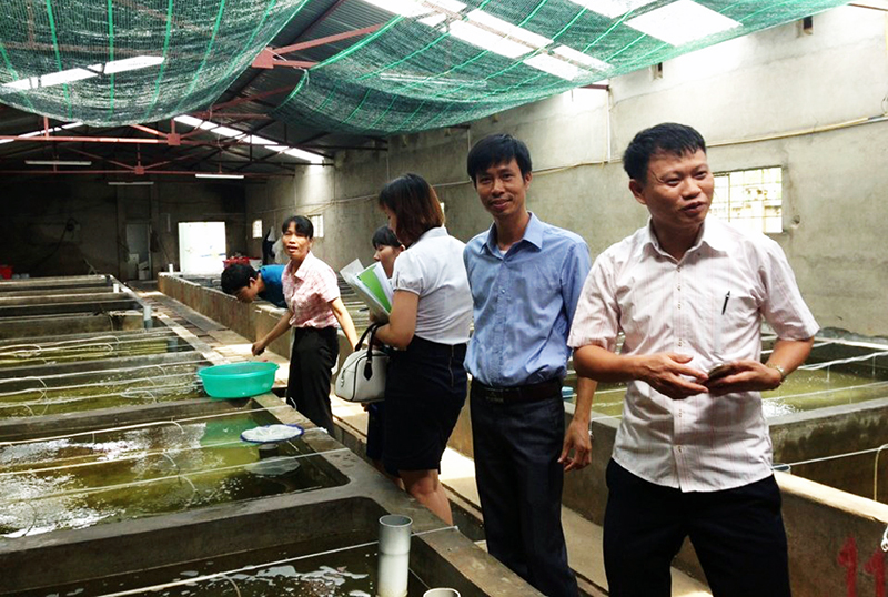 Cán bộ kỹ thuật Trung tâm KHKT và Sản xuất giống thủy sản kiểm tra khu vực bảo tồn nguồn gen sá sùng.