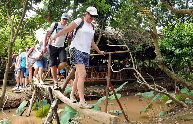 Du khách quốc tế thích thú đi cầu khỉ ở Việt Nam. (Ảnh: TTXVN)