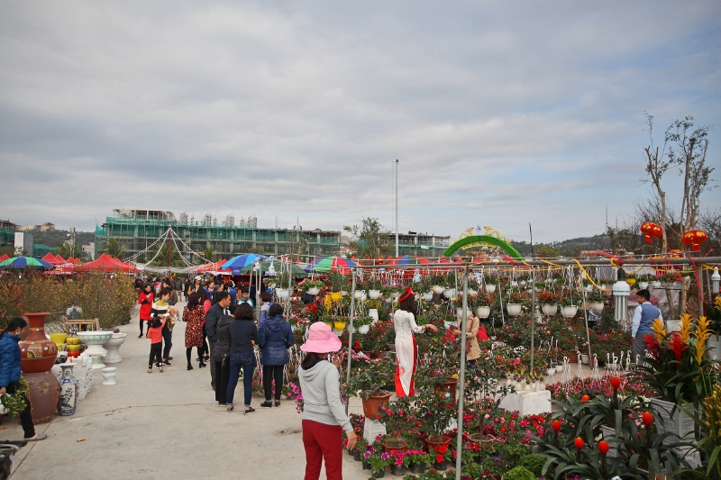 Hội hoa Xuân năm nay đã thu hút được rất nhiều người dân tới thăm quan và mua sắm.