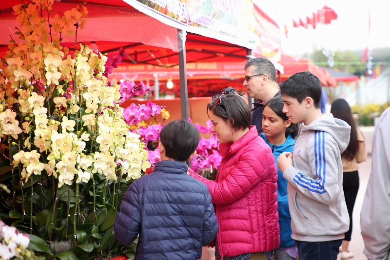Du khách nước ngoài cũng hào hứng với sắc đẹp của các loài hoa.