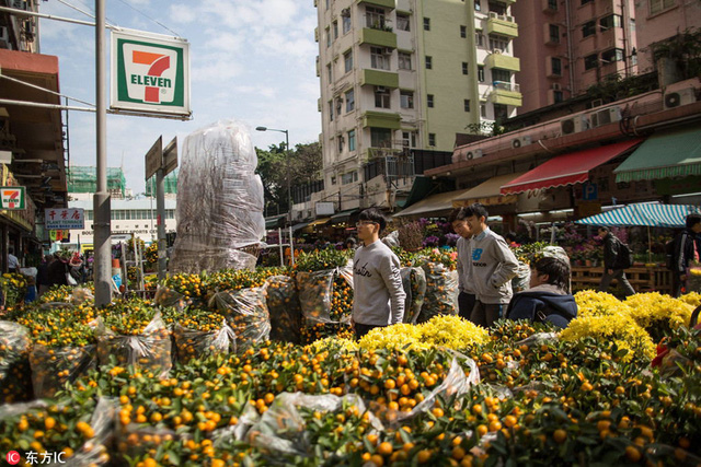 Người dân Hong Kong nô nức đi xem hoa và cây cảnh tại chợ hoa Victoria Park (Ảnh: Sina)