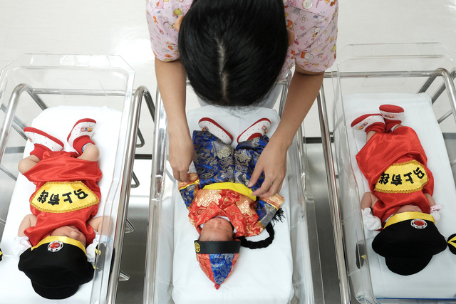 Một nữ y tá mặc quần áo truyền thống của người Trung Quốc cho các bé sơ sinh nhân dịp năm mới tại phòng hậu sinh ở bệnh viện Paolo Chockchai, Bangkok, Thái Lan. (Ảnh: Reuters)