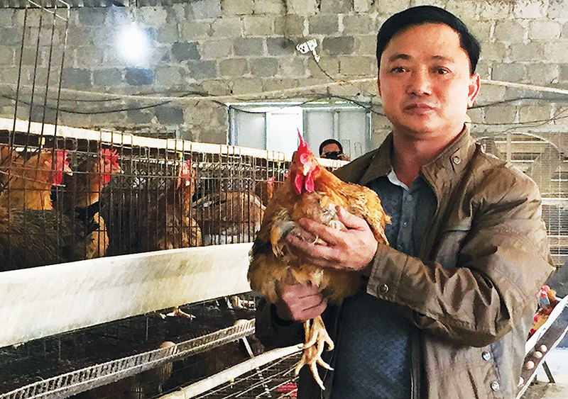 Anh Lý Văn Giểng tại cơ sở sản xuất gà giống Tiên Yên của gia đình.