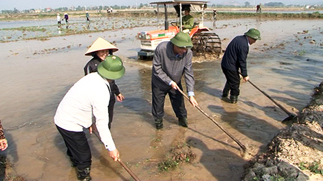 Bí thư Tỉnh ủy xuống đồng đầu năm cùng nông dân Đông Triều