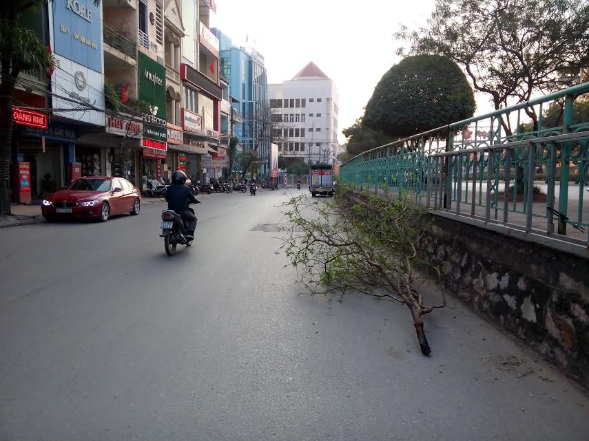 Chương trình Thời sự tối ngày 12/02/2017