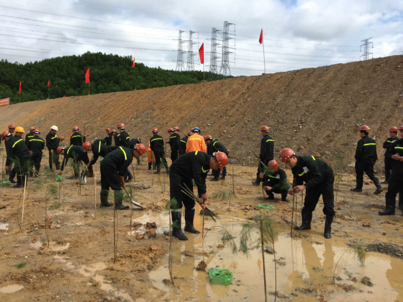 Công nhân lao động Công ty TNHH MTV Thăng Long trồng cây xanh các loại trong lễ phát động