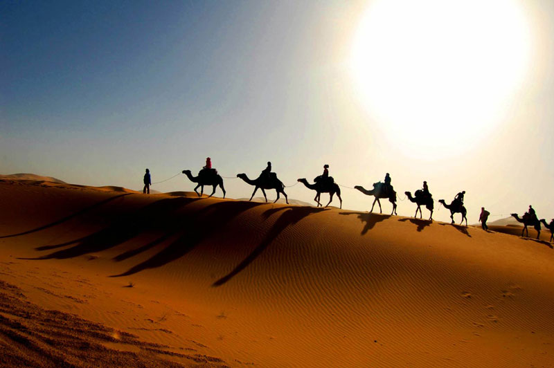 10. Sa mạc Sahara. Là sa mạc lớn nhất thế giới và hoang mạc lớn thứ 3 trên trái đất (sau Châu Nam Cực và vùng Bắc Cực), với diện tích hơn 9.000.000 km2. Được bao bọc bởi Đại Tây Dương ở phía Tây, dãy núi Atlas và Địa Trung Hải ở phía Bắc, biển Đỏ (Hồng Hải) và Ai Cập ở phía Đông; Sudan và thung lũng sông Niger ở phía Nam. Điểm cao nhất trong sa mạc là đỉnh núi Emi Koussi với độ cao 3.415m so với mực nước biển, thuộc dãy núi Tibesti phía Bắc nước Tchad.