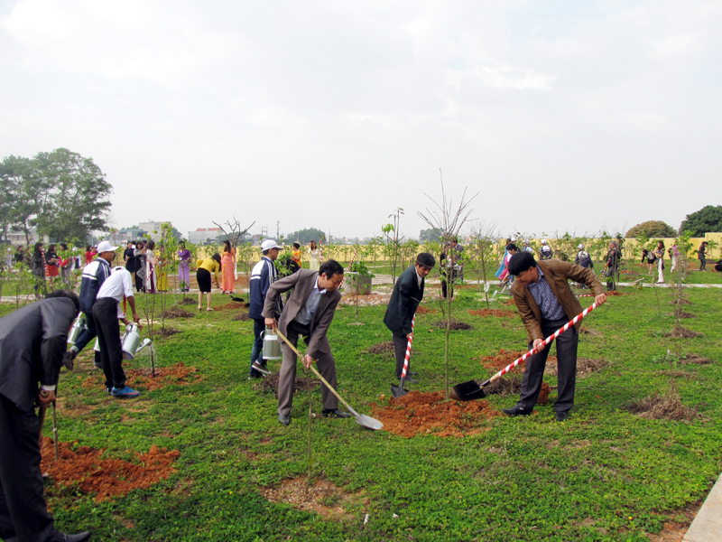 Cán bộ, giáo viên và học sinh cùng trồng mai vàng Yên Tử trong vườn cây nhớ Bác tại Trường THCS Hồng Thái Tây.