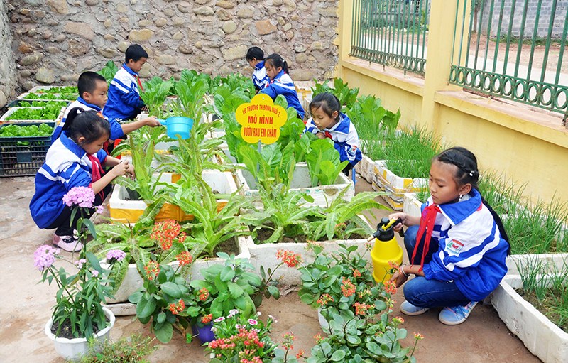 Học sinh lớp 4A2, Trường Tiểu học Đông Ngũ 2, xã Đông Ngũ, huyện Tiên Yên chăm sóc rau, hoa.