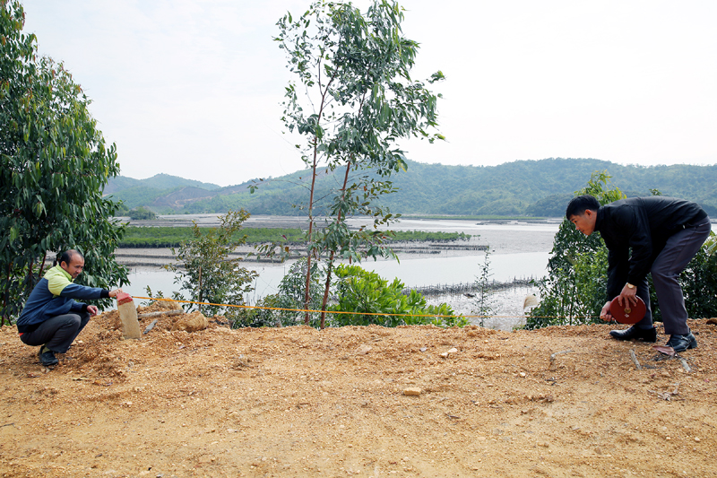 Cán bộ xã Vạn Yên hỗ trợ đo đạc, kiểm đếm đất GPMB Dự án Khu dịch vụ phức hợp cao cấp Vân Đồn.