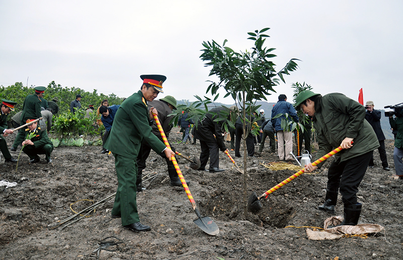 Lãnh đạo Công ty TNHH MTV Khe Sim tham gia trồng cây bảo vệ môi trường quanh khai trường của đơn vị.
