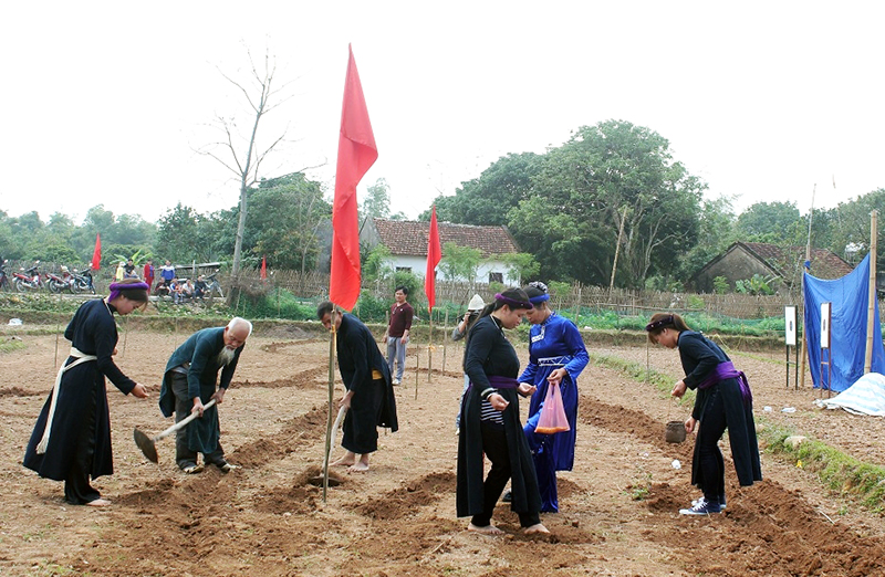 Người dân và thầy mo cùng xuống đồng trong ngày đầu năm mới tại Lễ hội Đình Đồng (xã Phong Dụ, huyện Tiên Yên).