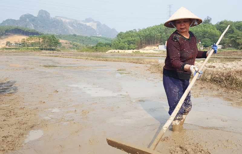 Sau 13 năm “thất nghiệp” song những động tác lồng đất, ải đất của nông dân Nguyễn Văn Long và Bàn Thị Vi trên thửa ruộng của mình dường như vẫn còn rất nhuần nhuyễn, kỹ càng và quy củ.