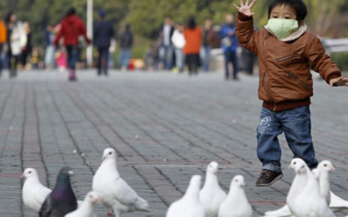 Trung Quốc đối phó cúm gia cầm. Ảnh: Reuters.