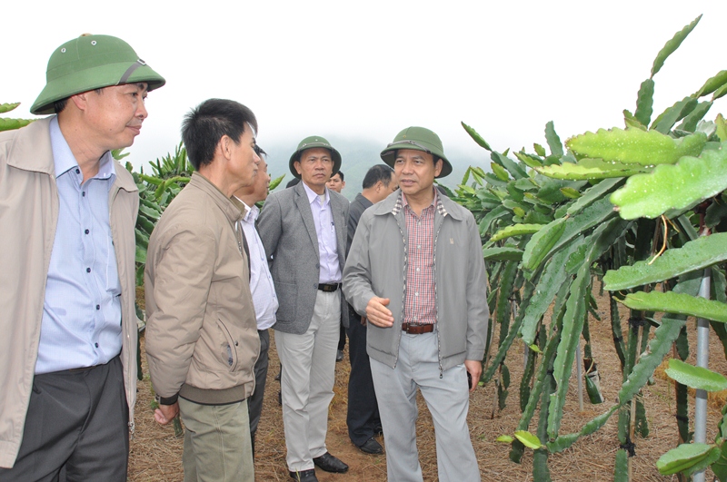 Đồng chí Đặng Huy Hậu thăm mô hình trồng thanh long ruột đỏ của gia đình anh Đinh Văn Sáng, thôn Nam Hả Ngoài, xã Nam Sơn.