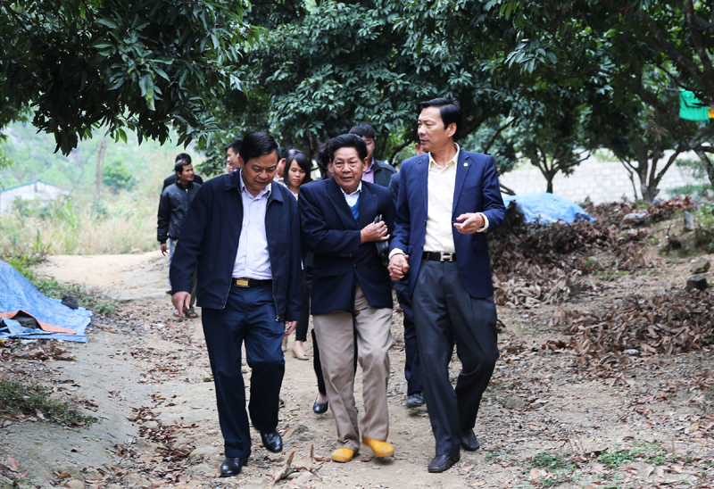 Đồng chí Bí thư Tỉnh ủy kiểm tra tình hình đời sống nhân dân thôn Làng Khánh (phường Hà Khánh, TP Hạ Long).