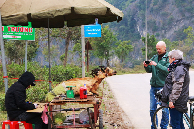 Một du khách nước ngoài dùng máy ảnh ghi lại cảnh bán thịt dê ven đường của người dân Ninh Bình.