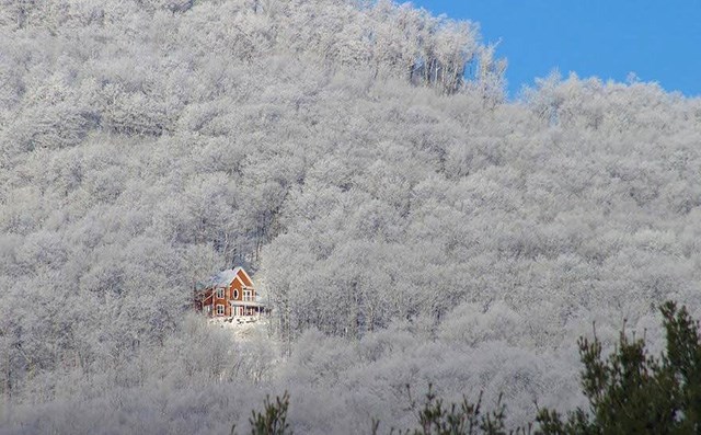  Sắc trắng của rừng cây khiến ta ngỡ ngôi nhà bồng bềnh giữa đám mây. Ảnh: Buzzfeed. 