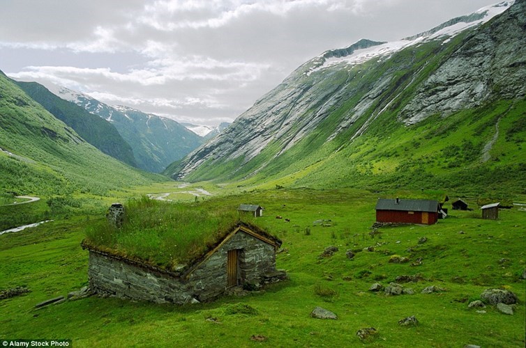  Nhà cỏ tuyệt đẹp dưới chân núi phủ đầy tuyết ở Na Uy. Ảnh: Dailymail. 
