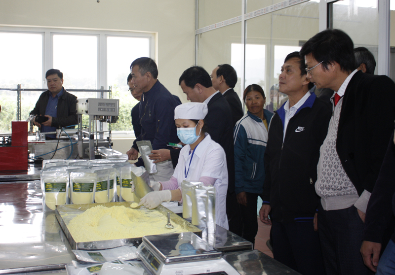 Các đại biểu tham quan quy trình đóng gói tinh bột nghệ của HTX Nông dược xanh Tinh Hoa