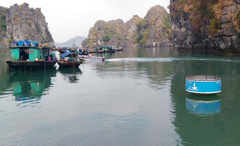 Làm sạch môi trường Vịnh Hạ Long