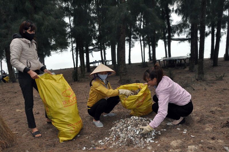 Toàn bộ rác và những vỏ sò, vỏ hàu do du khách để lại trên bãi biển đều được thu gom