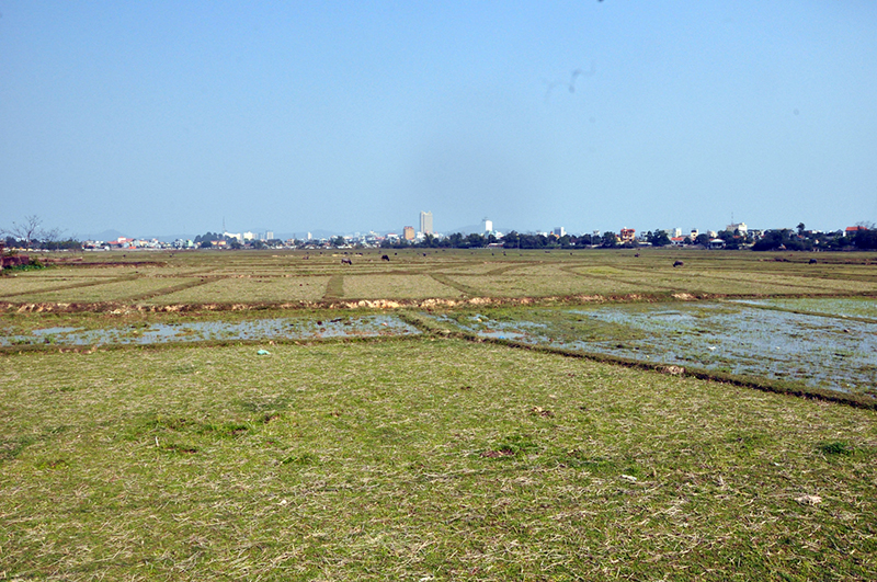Hàng trăm ha đất sản xuất nông nghiệp vụ đông xuân đang bị bỏ hoang tại xã Hải Xuân (Móng Cái).