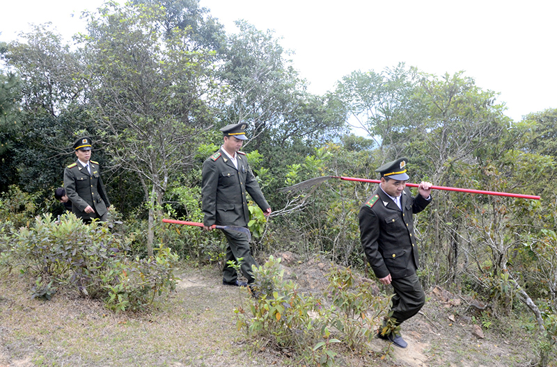 Lực lượng kiểm lâm của Khu BTTN Đồng Sơn - Kỳ Thượng thực hiện tuần tra, kiểm soát phòng, chống cháy rừng trong mùa hanh khô.