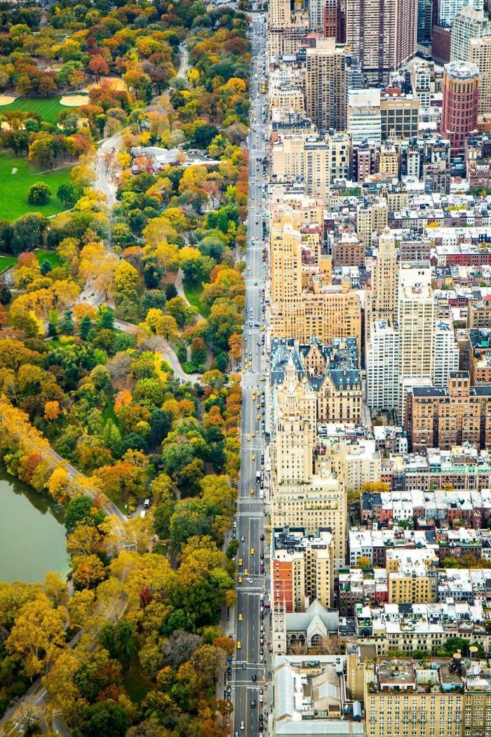 Công viên Trung tâm New York là minh chứng tuyệt vời của việc mang thiên nhiên đến gần thế giới hiện đại. (Nguồn: boredpanda.com)