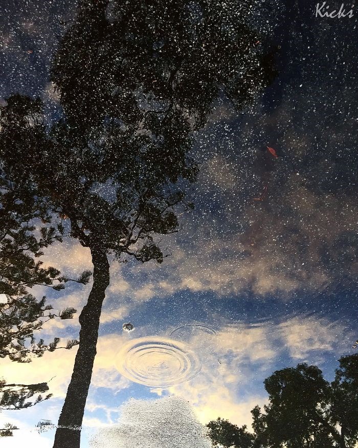 Một trận mưa sao kỳ diệu được tái hiện qua hình phản chiếu trên mặt nước. (Nguồn: boredpanda.com)
