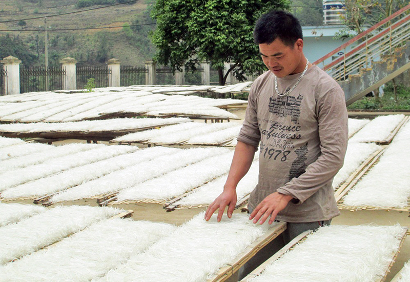 Anh La A Nồng, Giám đốc HTX Phát triển Đình Trung (xã Húc Động, huyện Bình Liêu) kiểm tra chất lượng sợi miến được phơi trước khi đóng gói sản phẩm.