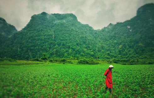 Phong cảnh Việt Nam xuất hiện trong phim 
