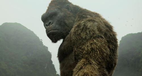Khỉ Kong trong phim mới trông chân thật nhờ có 18 triệu sợi lông.