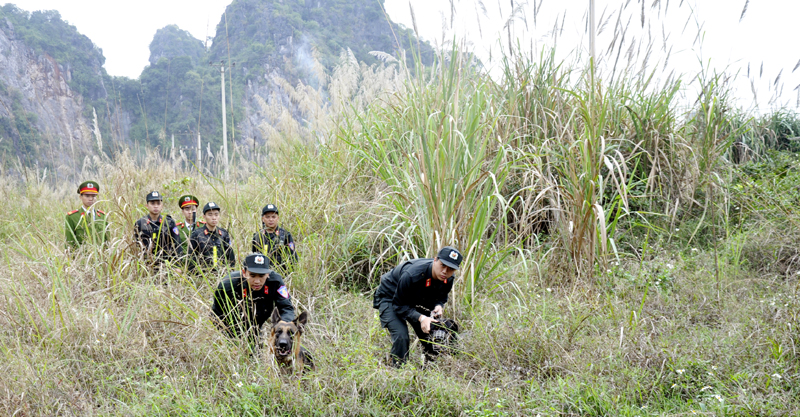 Lực lượng cảnh sát cơ động triển khai phương án đảm bảo TTATXH trên địa bàn TP Hạ Long.