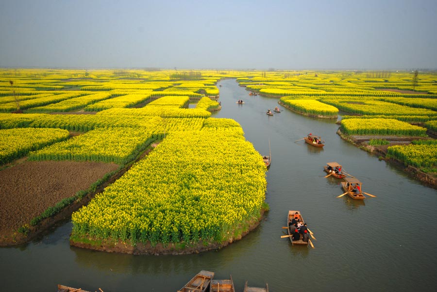 Những cánh đồng hoa ở tỉnh Giang Tô miền Đông Trung Quốc được ví như những hòn đảo nhỏ. Khách có thể đi thuyền và ngắm hoa đầy thư thái.