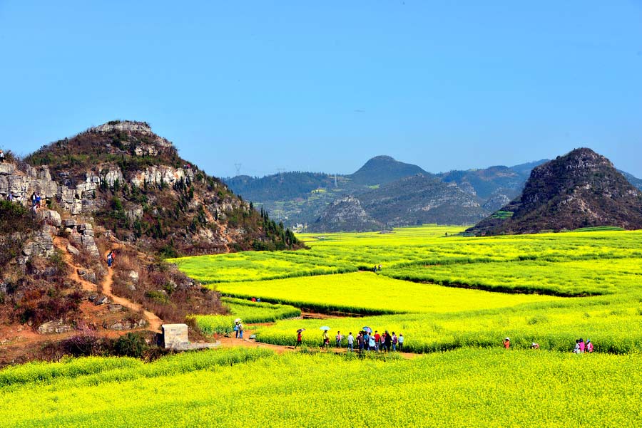 Mùa vàng trong thung lũng, ở huyện La Bình, thuộc tỉnh Vân Nam, Tây Nam Trung Quốc. Vào tháng 2 đến tháng 3 hàng năm, hoa cải vàng rực trên một diện tích rộng đến 13.000 ha.