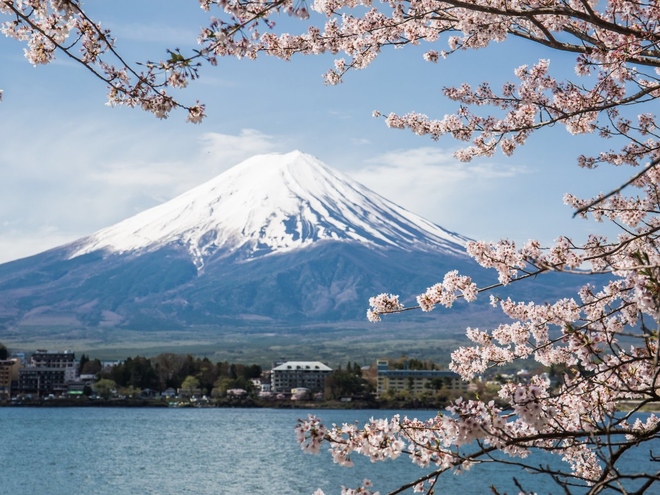 Núi Phú Sĩ, Nhật Bản với phong cảnh đẹp như tranh vẽ là điểm có hoa anh đào nổi tiếng thế giới. Nơi ngắm hoa lý tưởng nhất là quanh điểm dừng xe buýt số 17.
