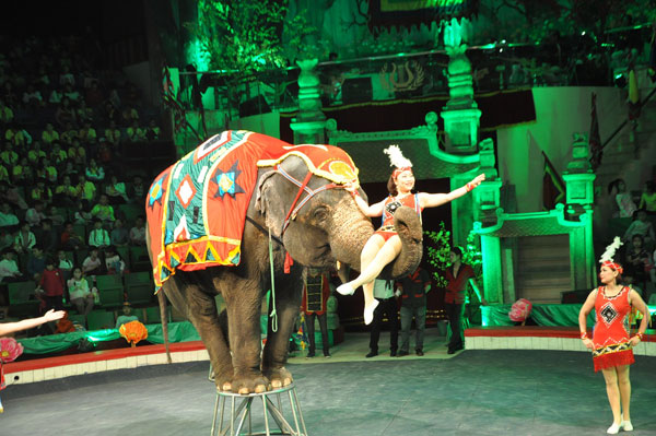 Chương trình biểu diễn xiếc voi của Liên đoàn Xiếc Việt Nam trưa 15-3 khiến đông đảo khán giả nhí phấn khích.