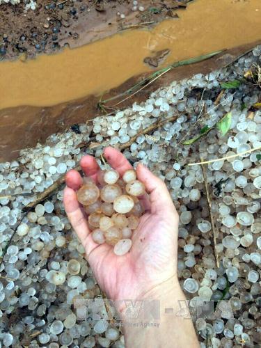 Mưa đá có hạt to bằng ngón tay.