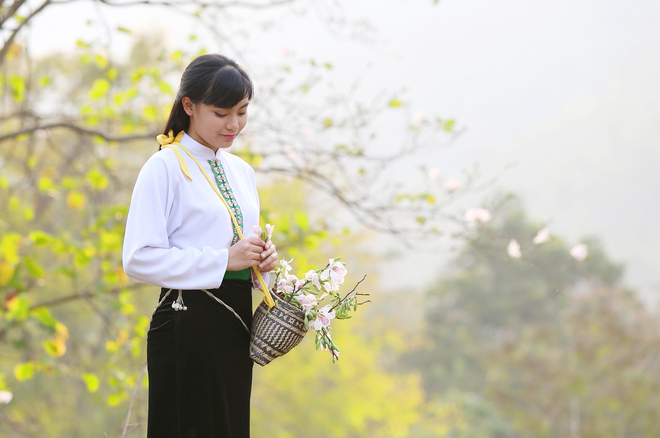 Nét tinh khôi của hoa ban tượng trưng cho vẻ đẹp xuân thì, trong trắng của người con gái Thái.